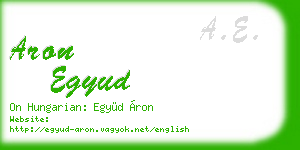 aron egyud business card
